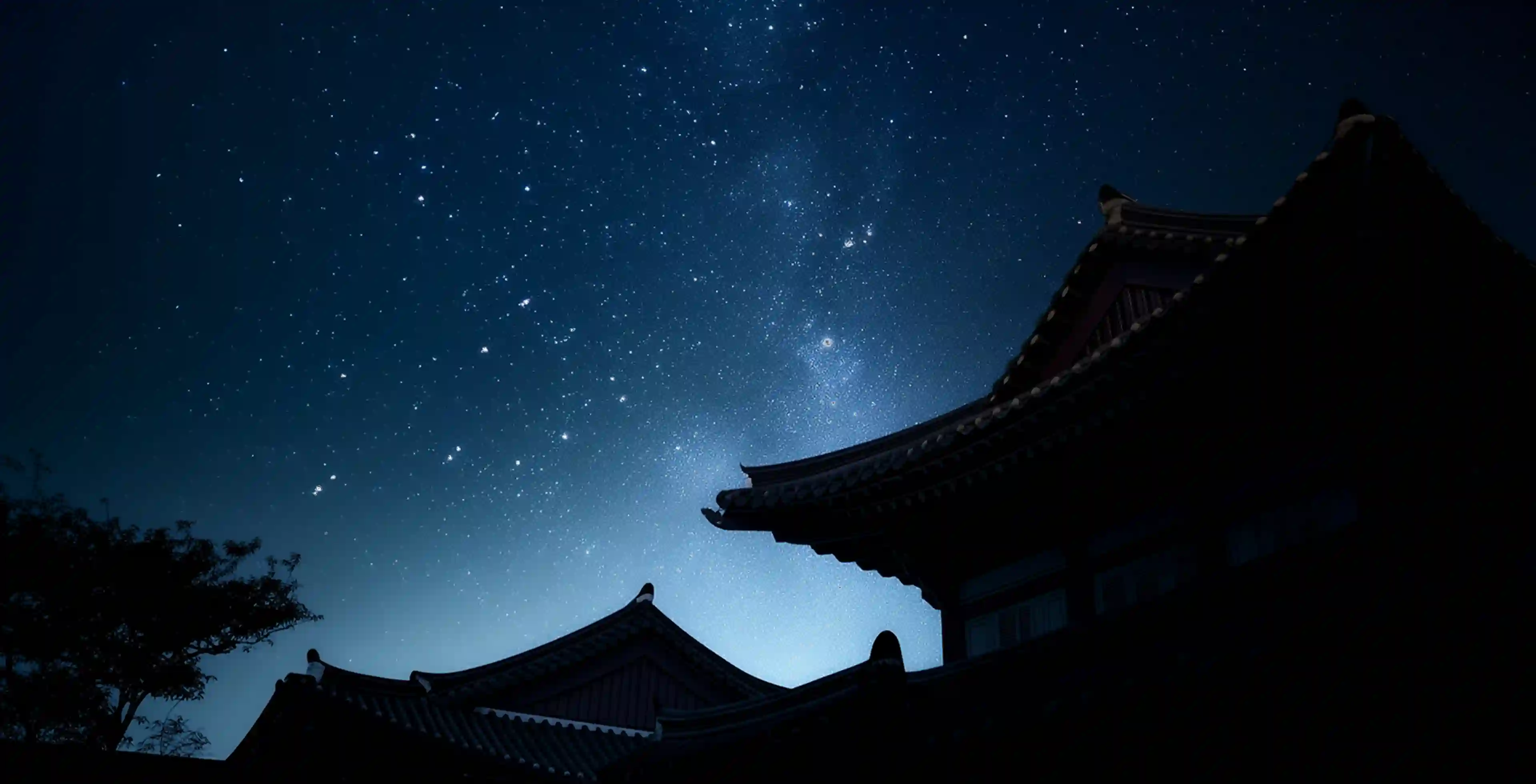 미디어아트 통영 관람 가이드 이미지