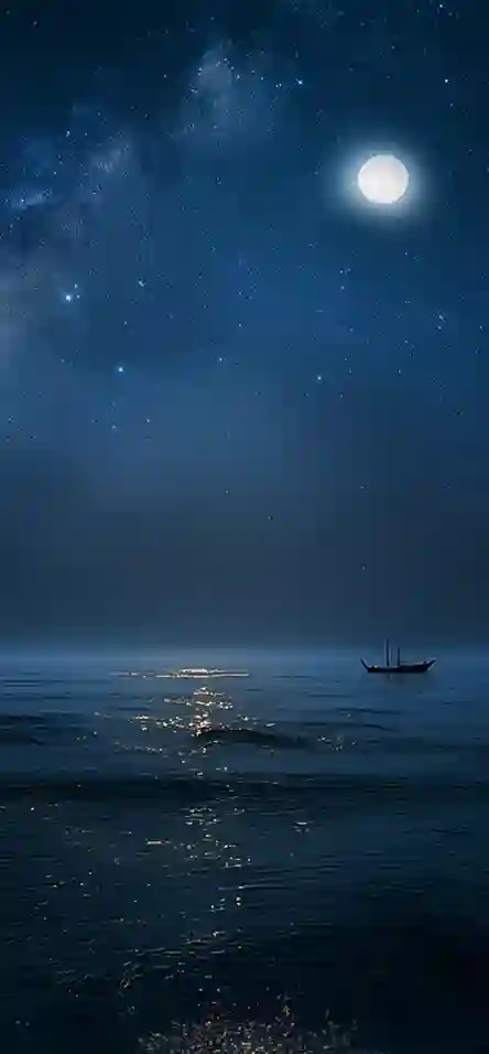 미디어아트 통영 관람 가이드 이미지