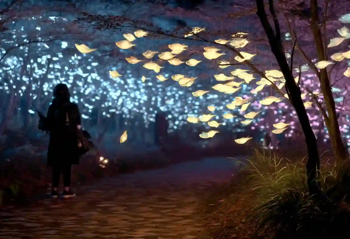 정화의 은하수 후원